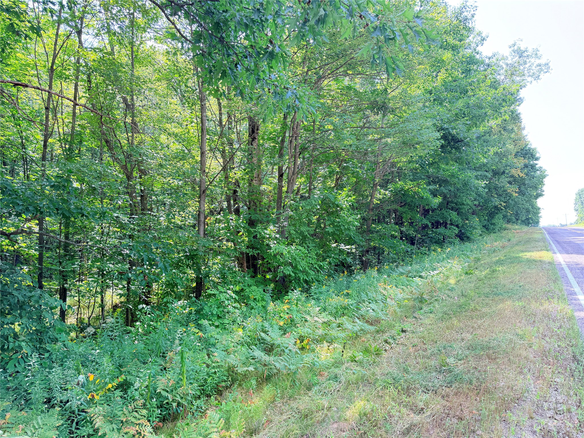 Lot 2 County Highway X Property Photo 2