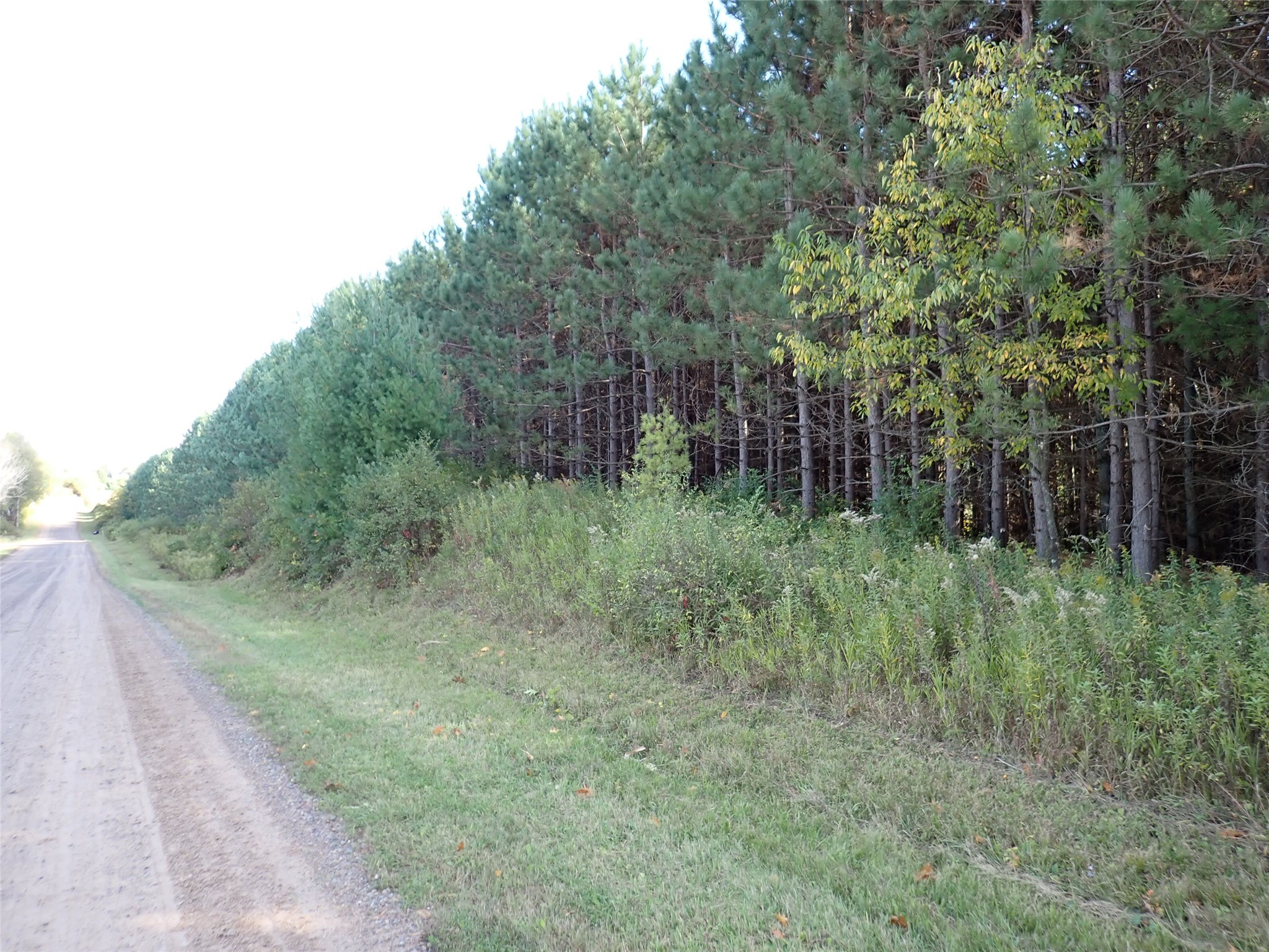 70.54 Acres 26 1/2 St Property Photo 2