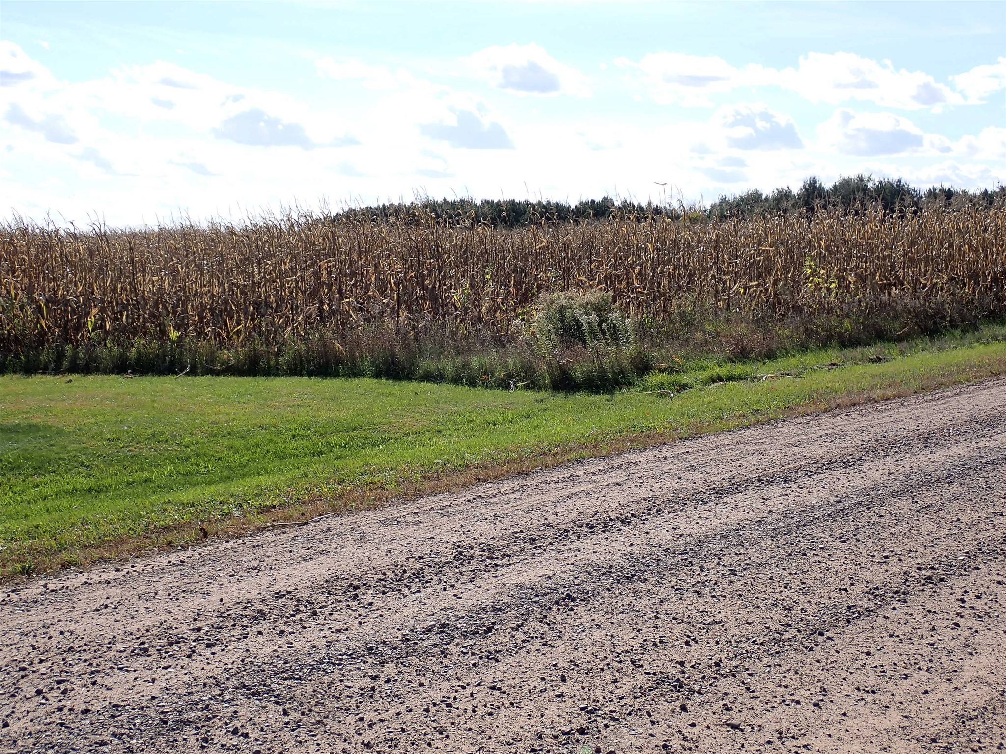 70.54 Acres 26 1/2 St Property Photo 3