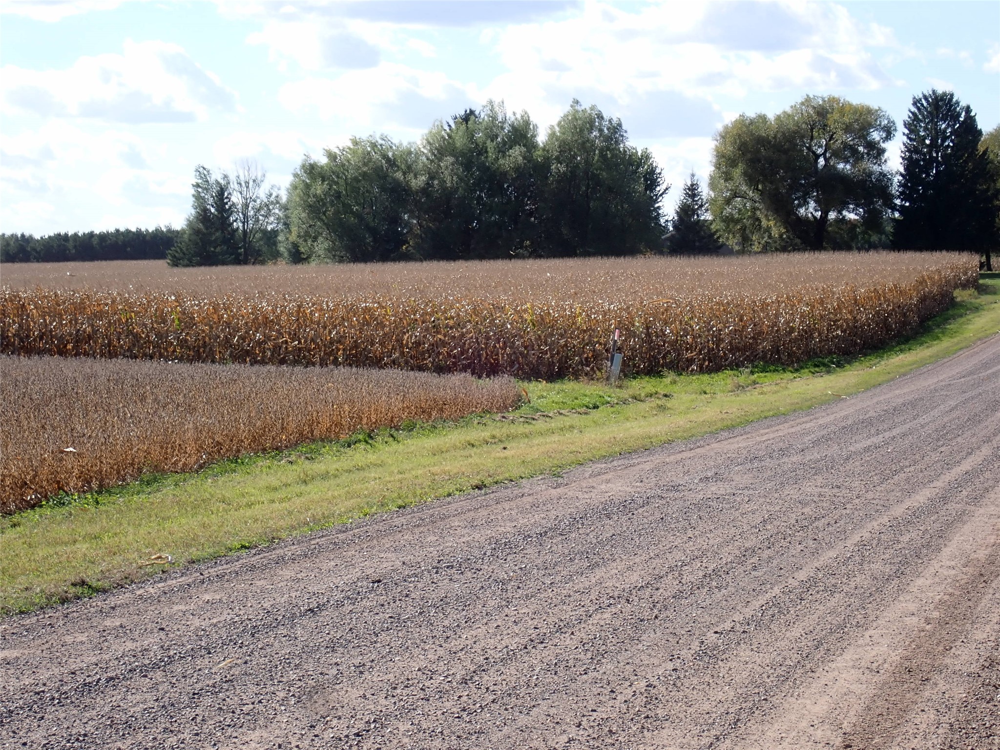 70.54 Acres 26 1/2 St Property Photo 4