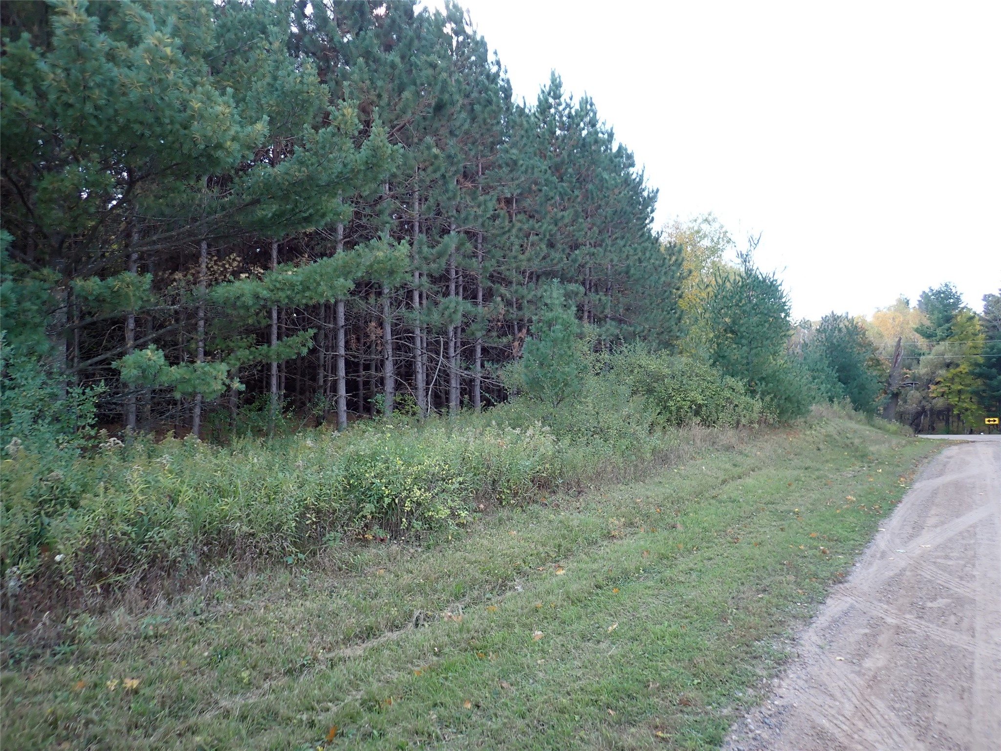 70.54 Acres 26 1/2 St Property Photo 5