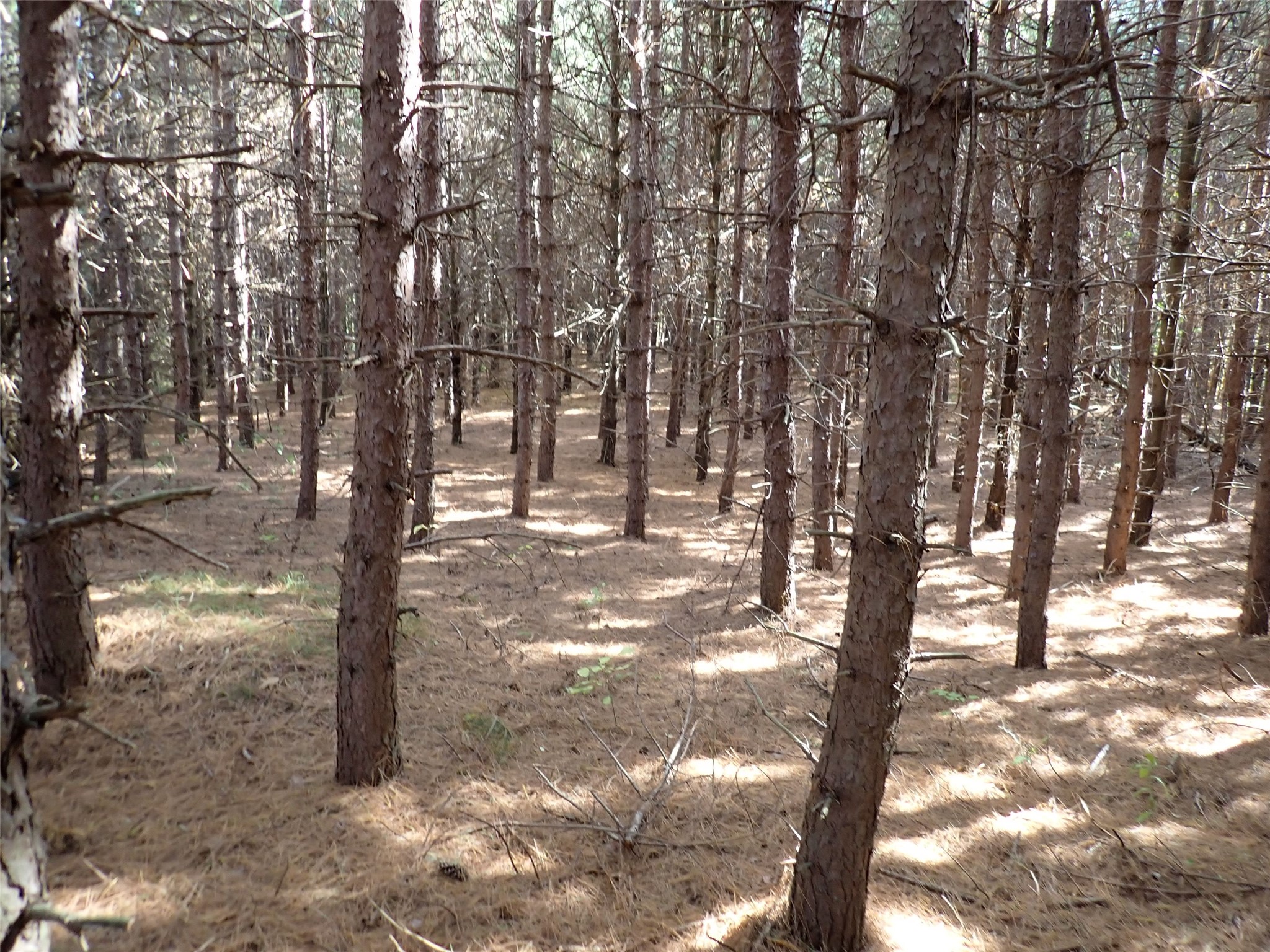 70.54 Acres 26 1/2 St Property Photo 6