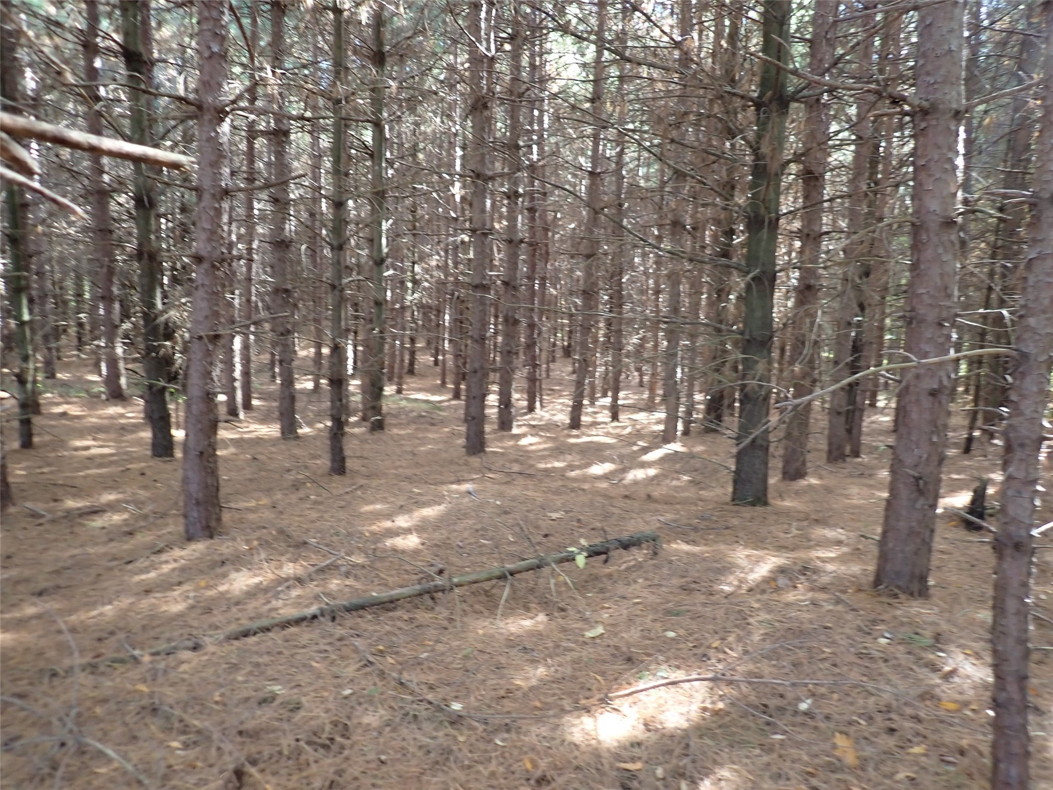 70.54 Acres 26 1/2 St Property Photo 7