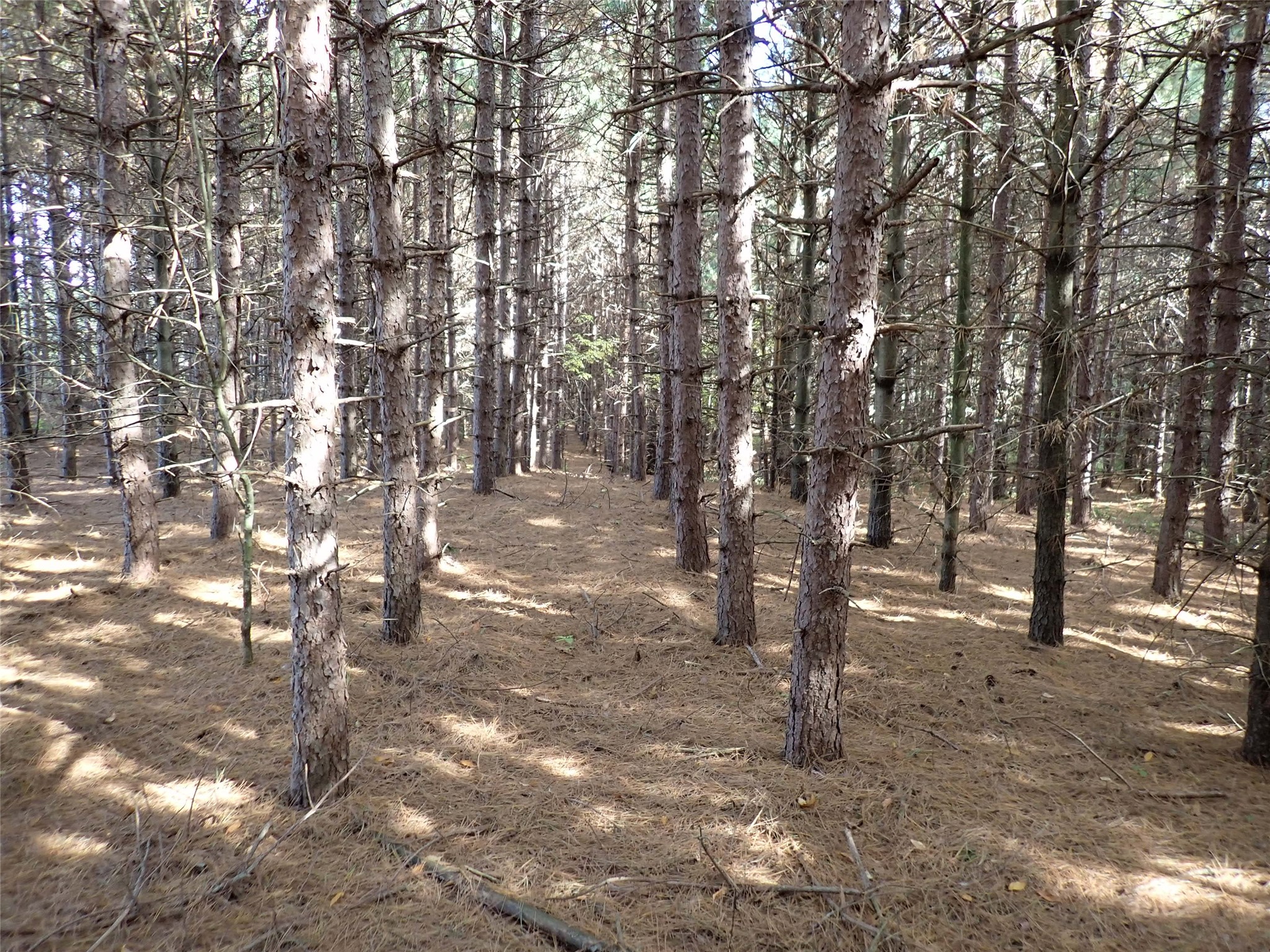 70.54 Acres 26 1/2 St Property Photo 8