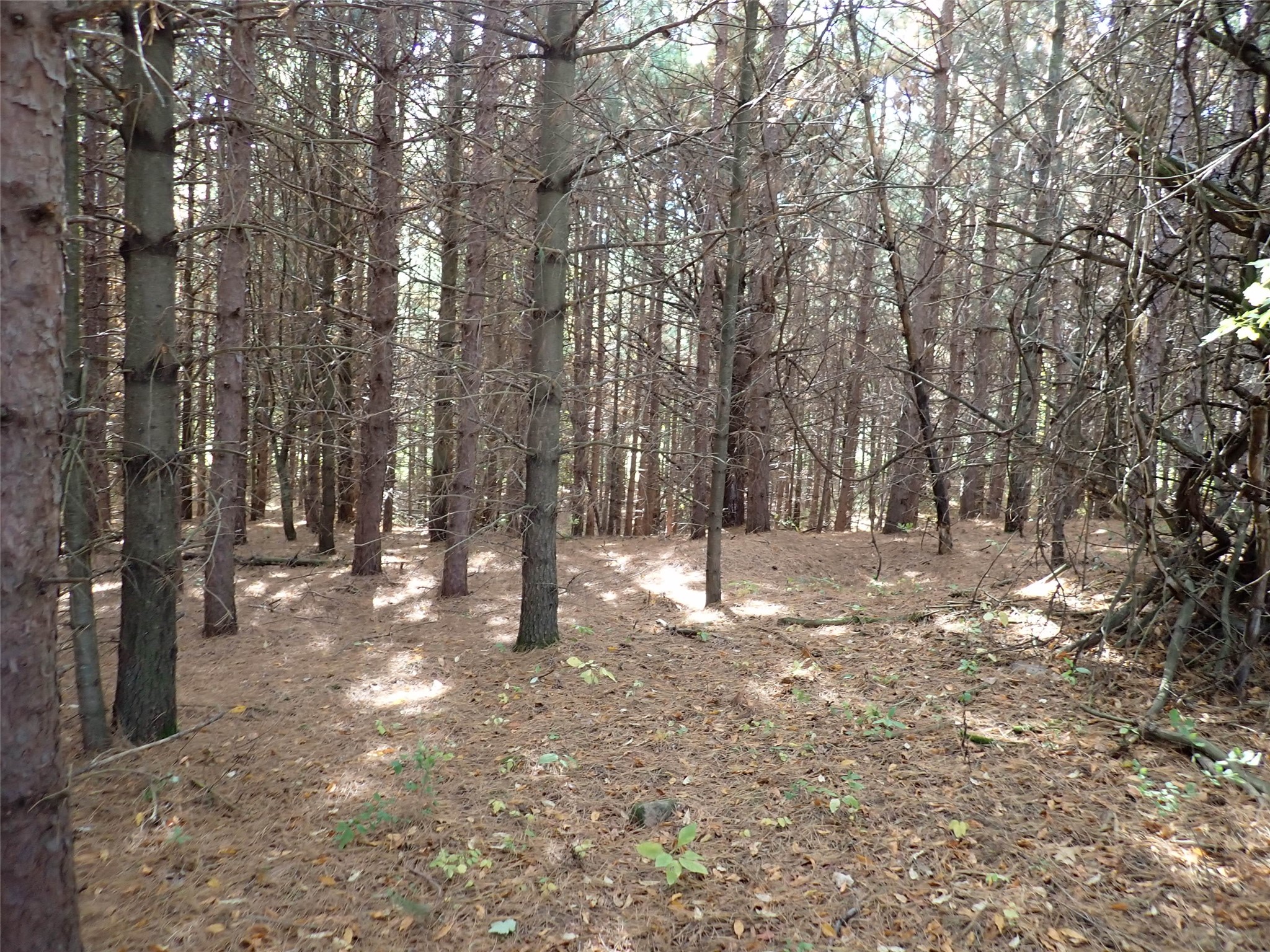 70.54 Acres 26 1/2 St Property Photo 9