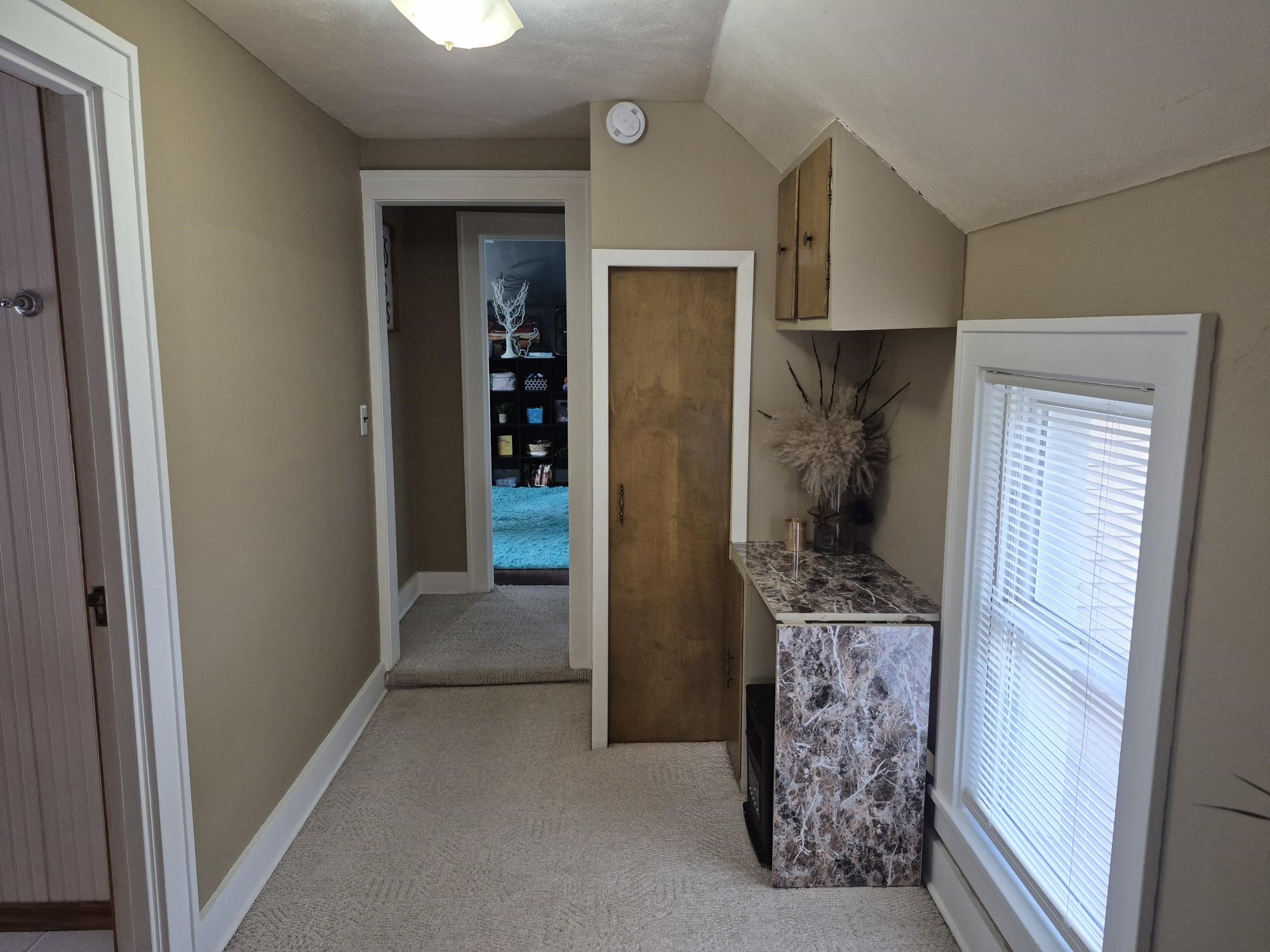 1231 E Prospect Street Property Photo 22