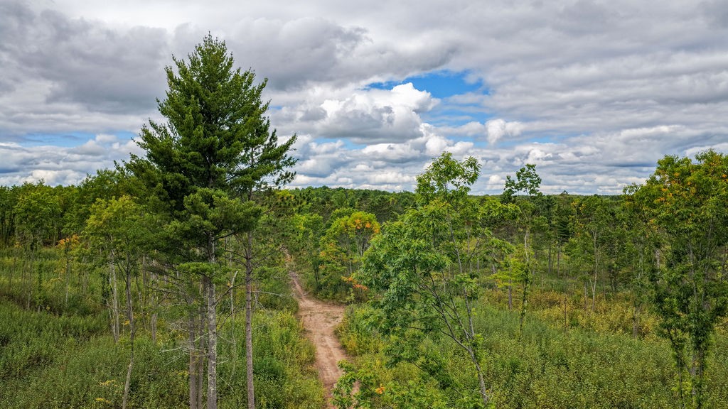 Lot 3 Larson Road Property Photo 17