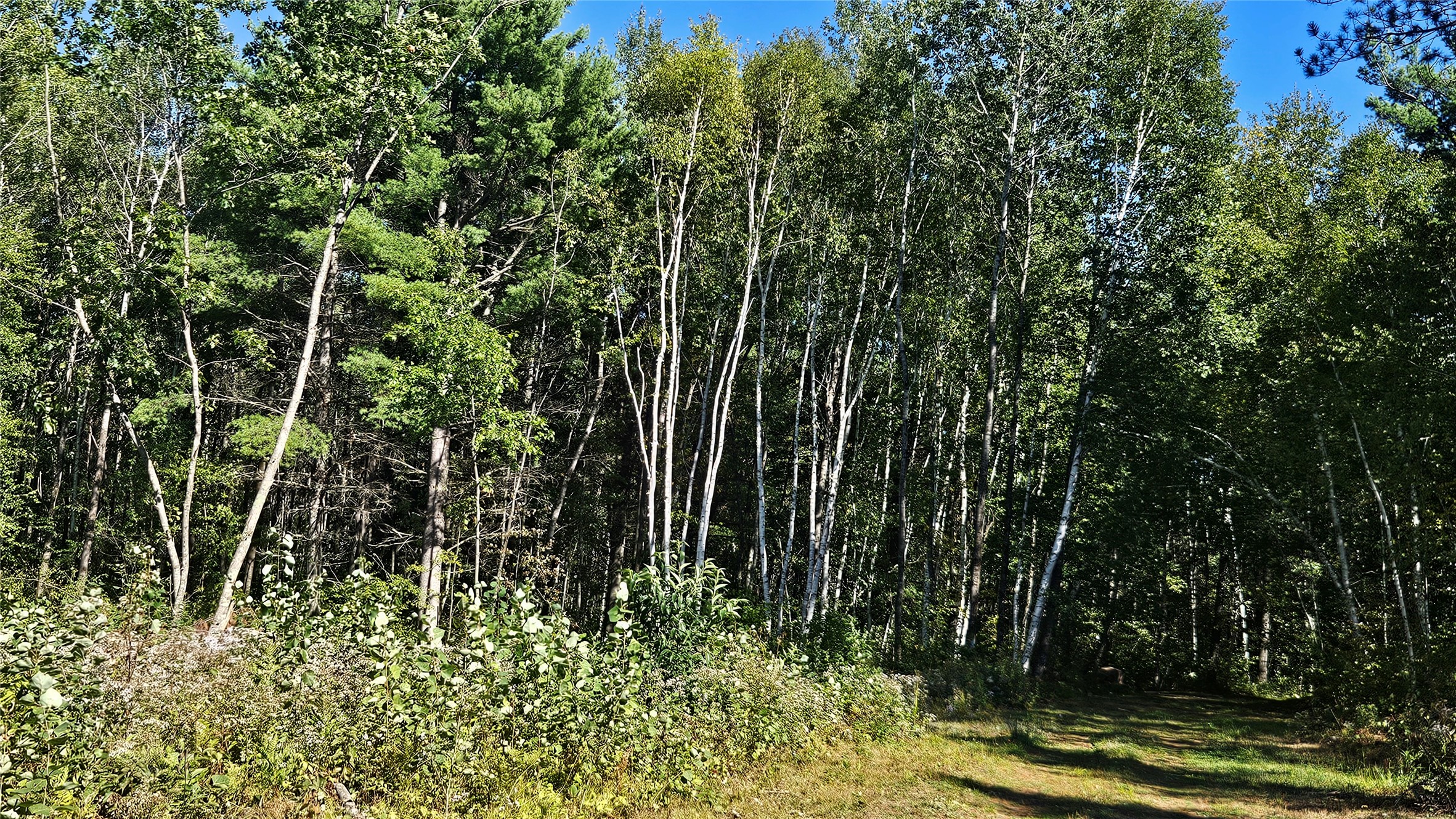 Lot 5 Larson Road Property Photo 26