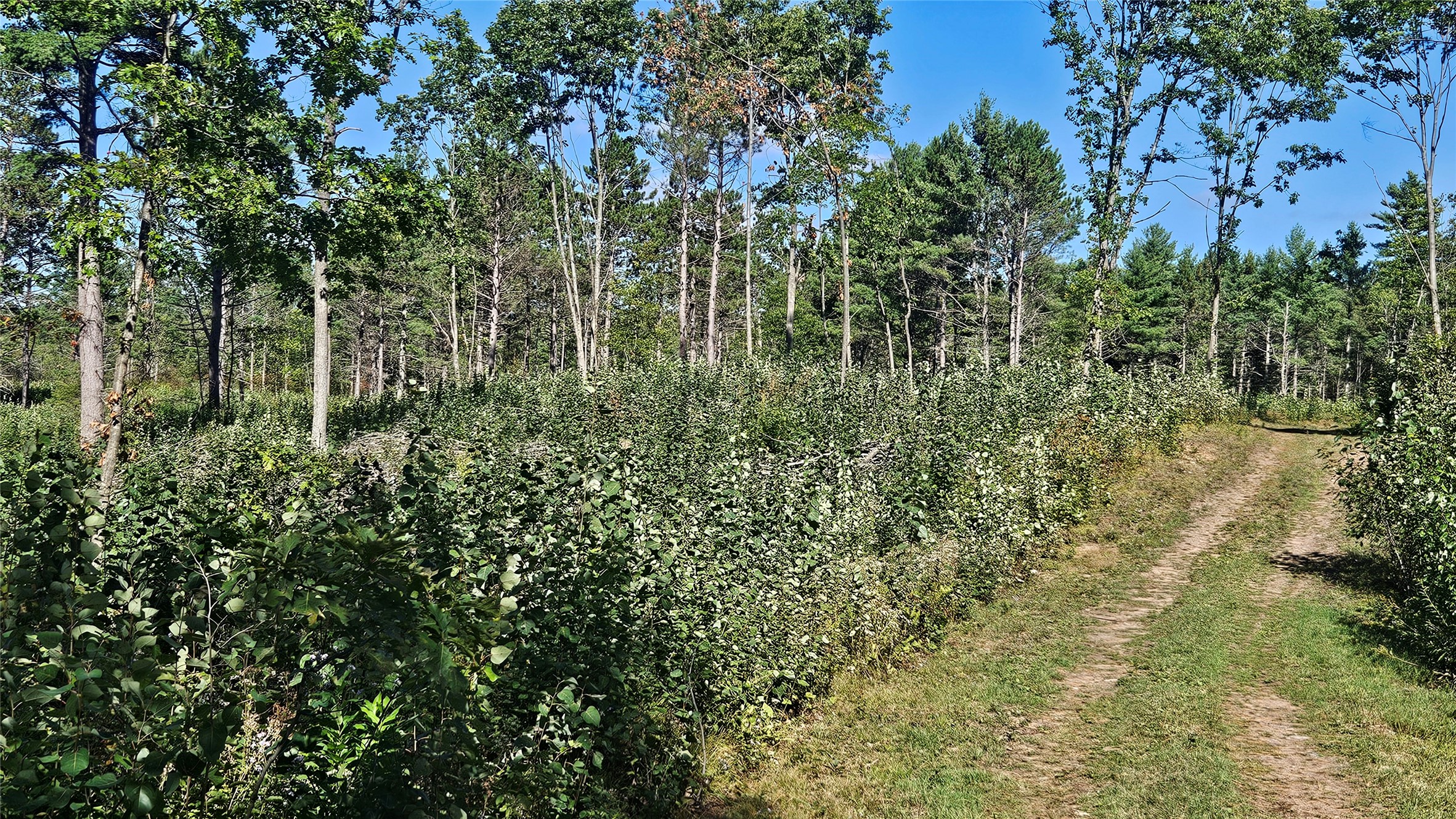 Lot 5 Larson Road Property Photo 29