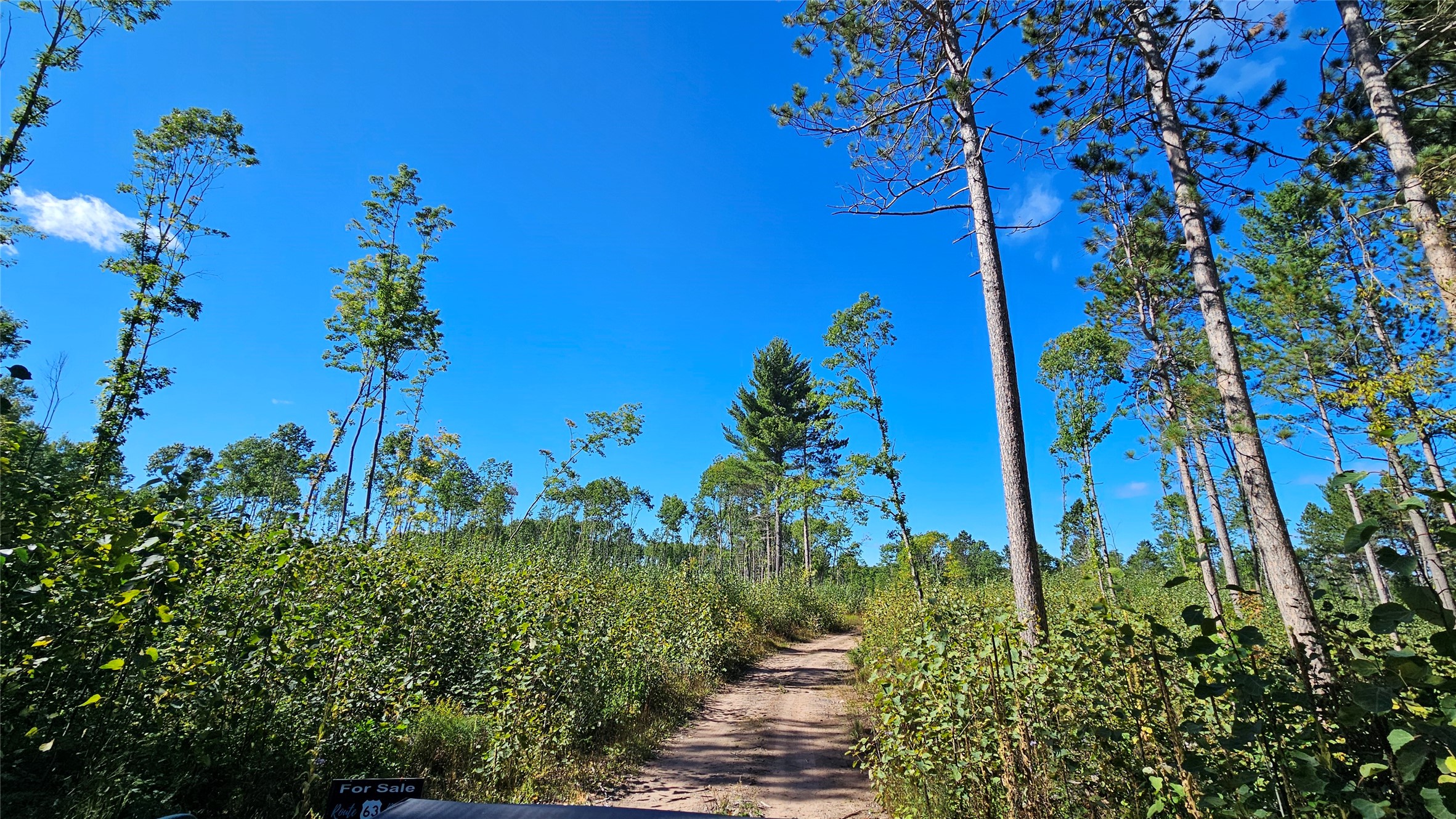 Lot 7 Larson Road Property Photo 26