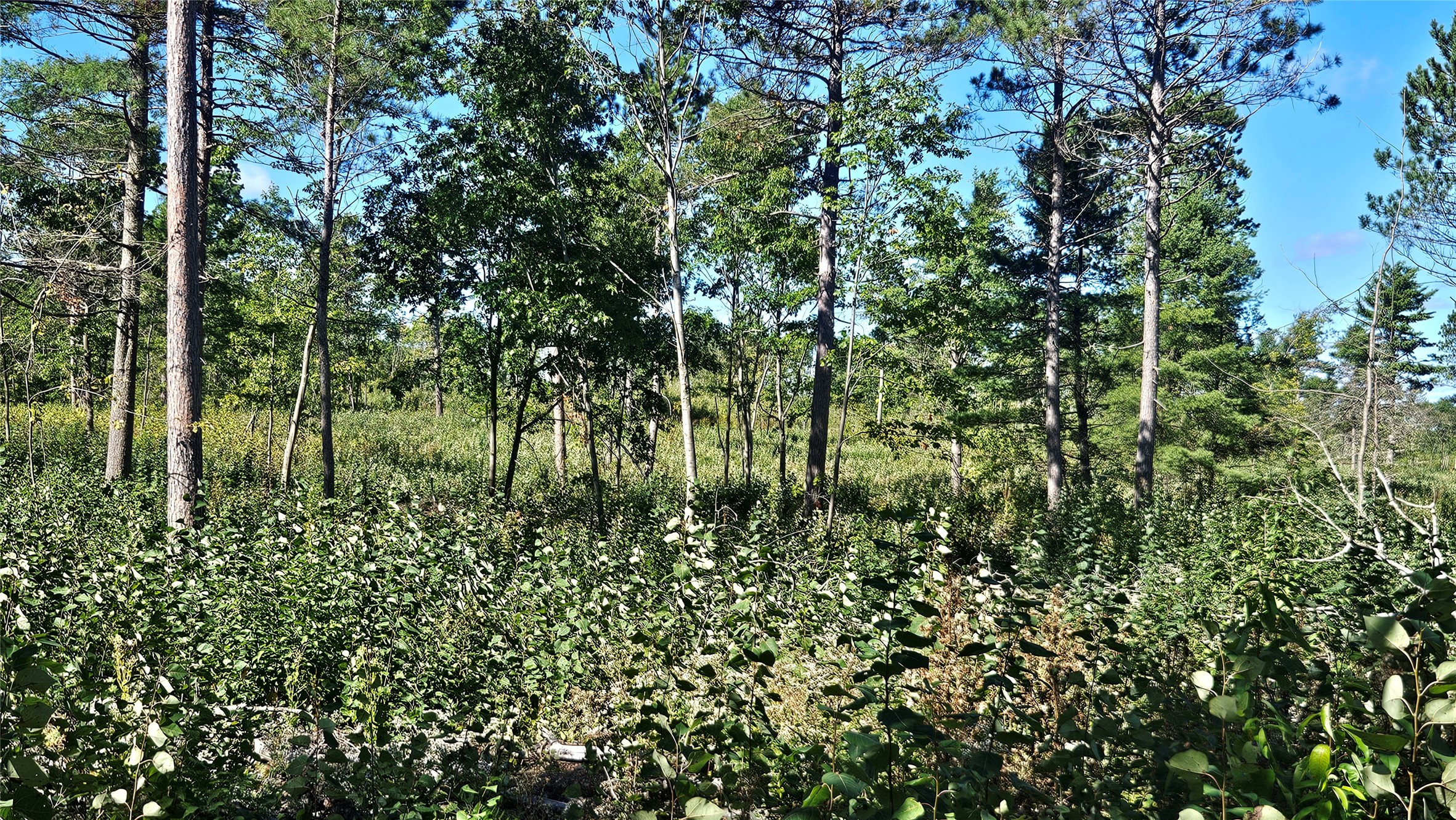 Lot 7 Larson Road Property Photo 32