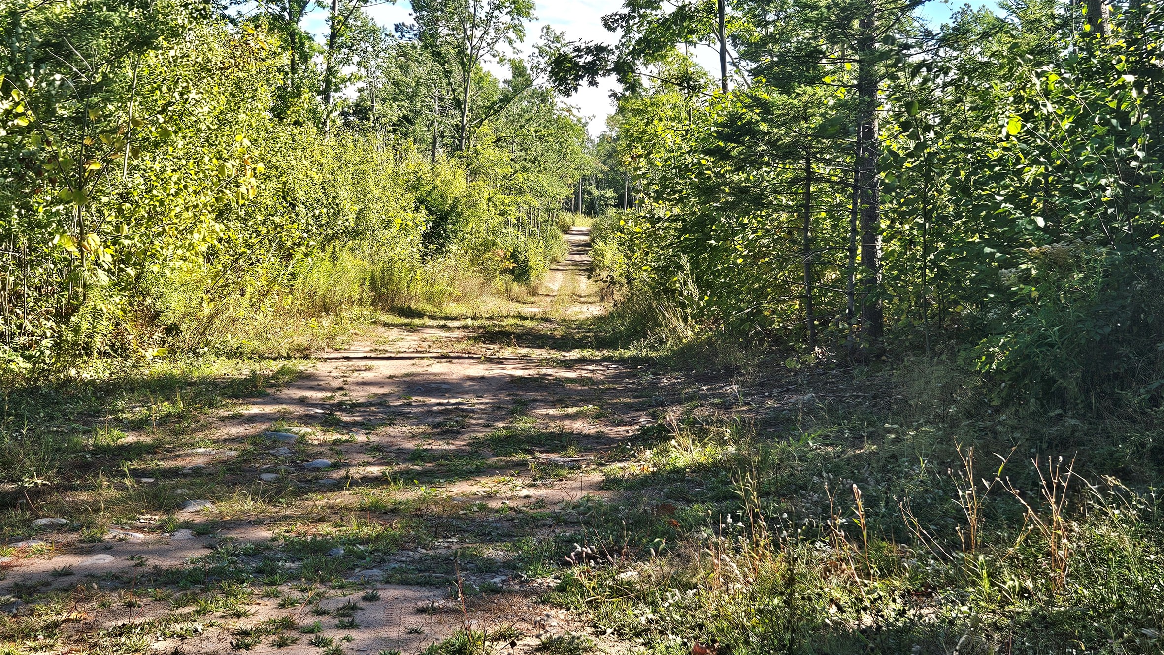 Lot 7 Larson Road Property Photo 34