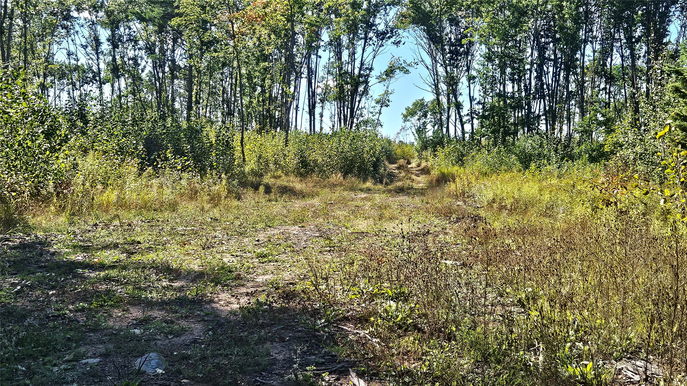 Lot 7 Larson Road Property Photo 36