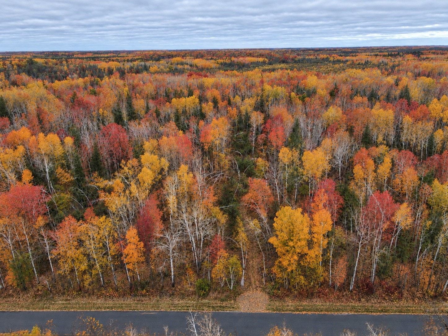 Tbd Swedish Highway Property Photo 1