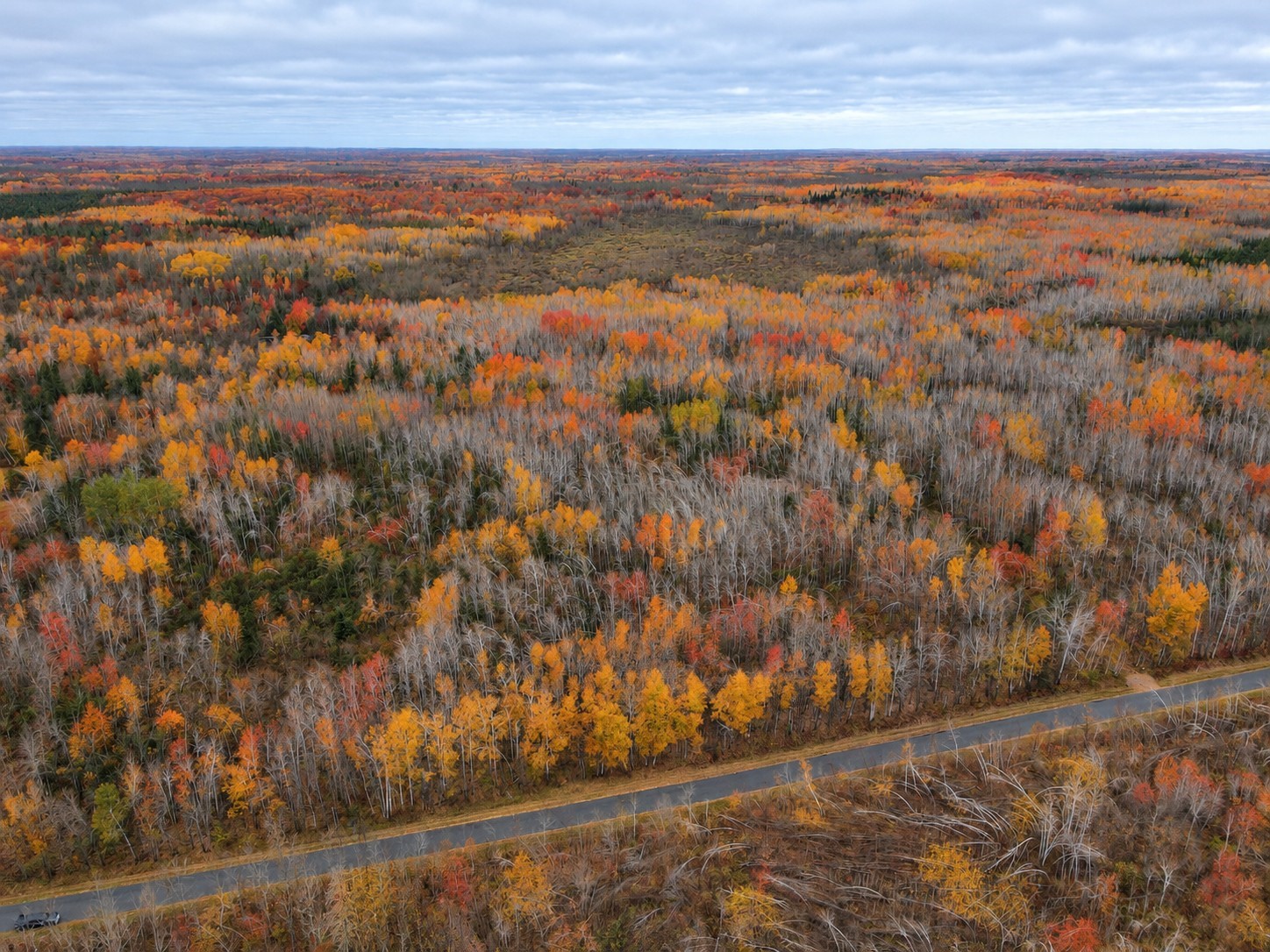 Tbd Swedish Highway Property Photo 3