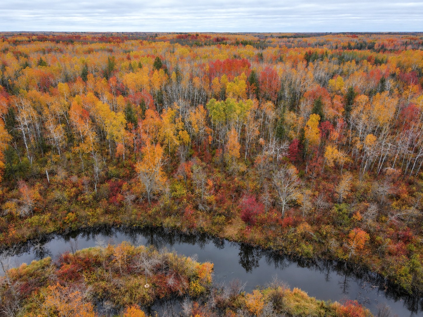 Tbd Swedish Highway Property Photo 4