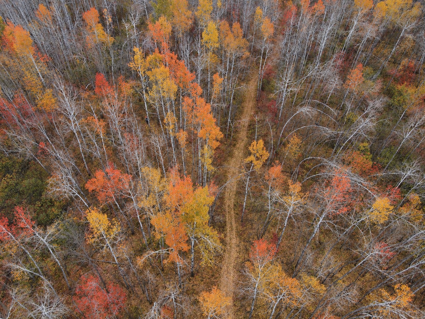 Tbd Swedish Highway Property Photo 6