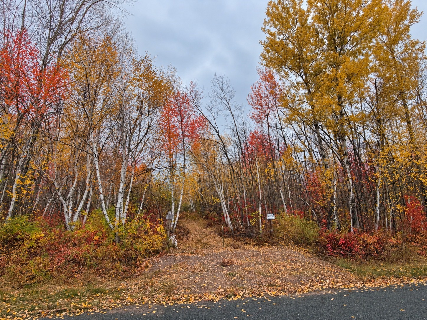 Tbd Swedish Highway Property Photo 8