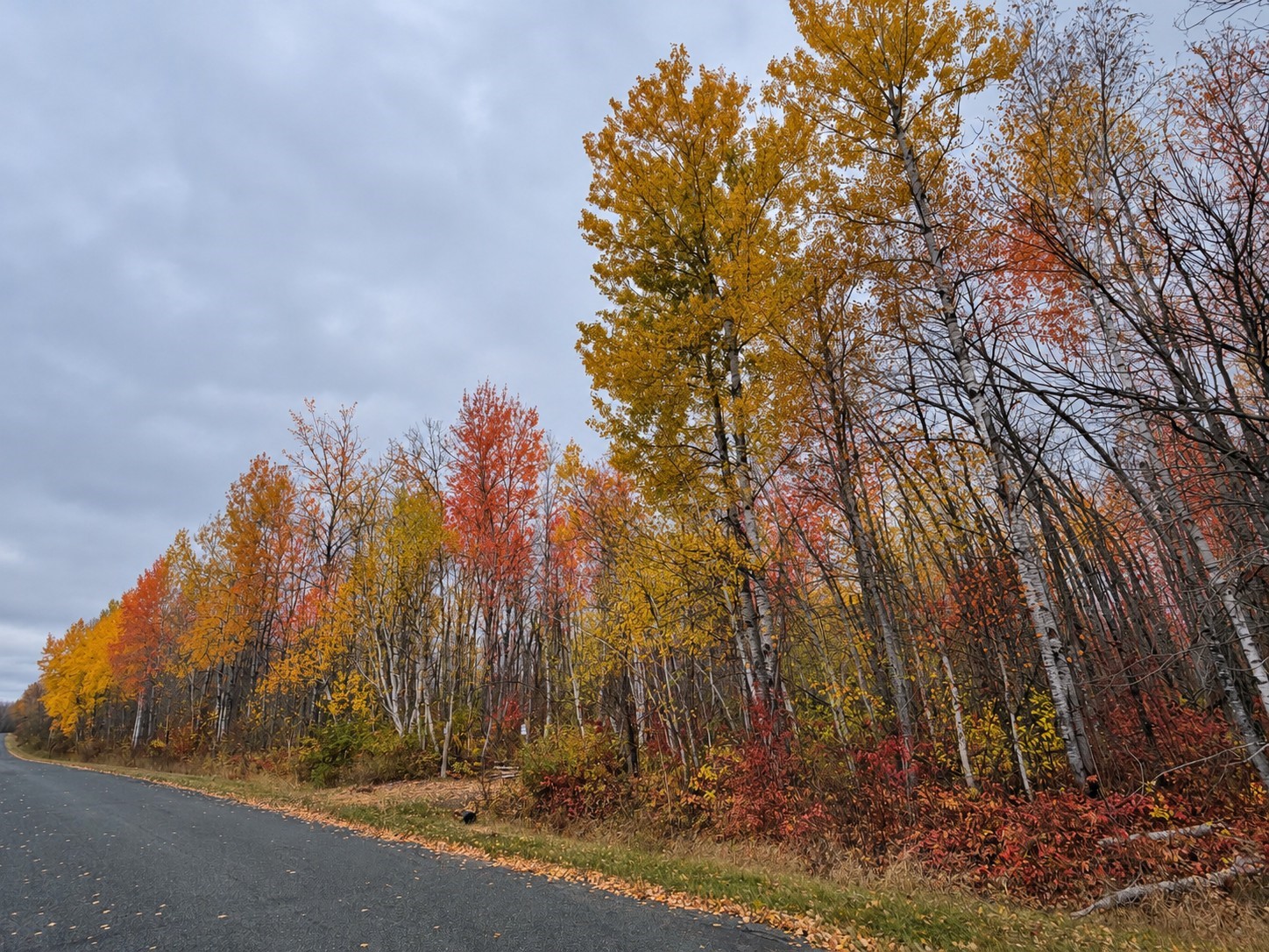 Tbd Swedish Highway Property Photo 9