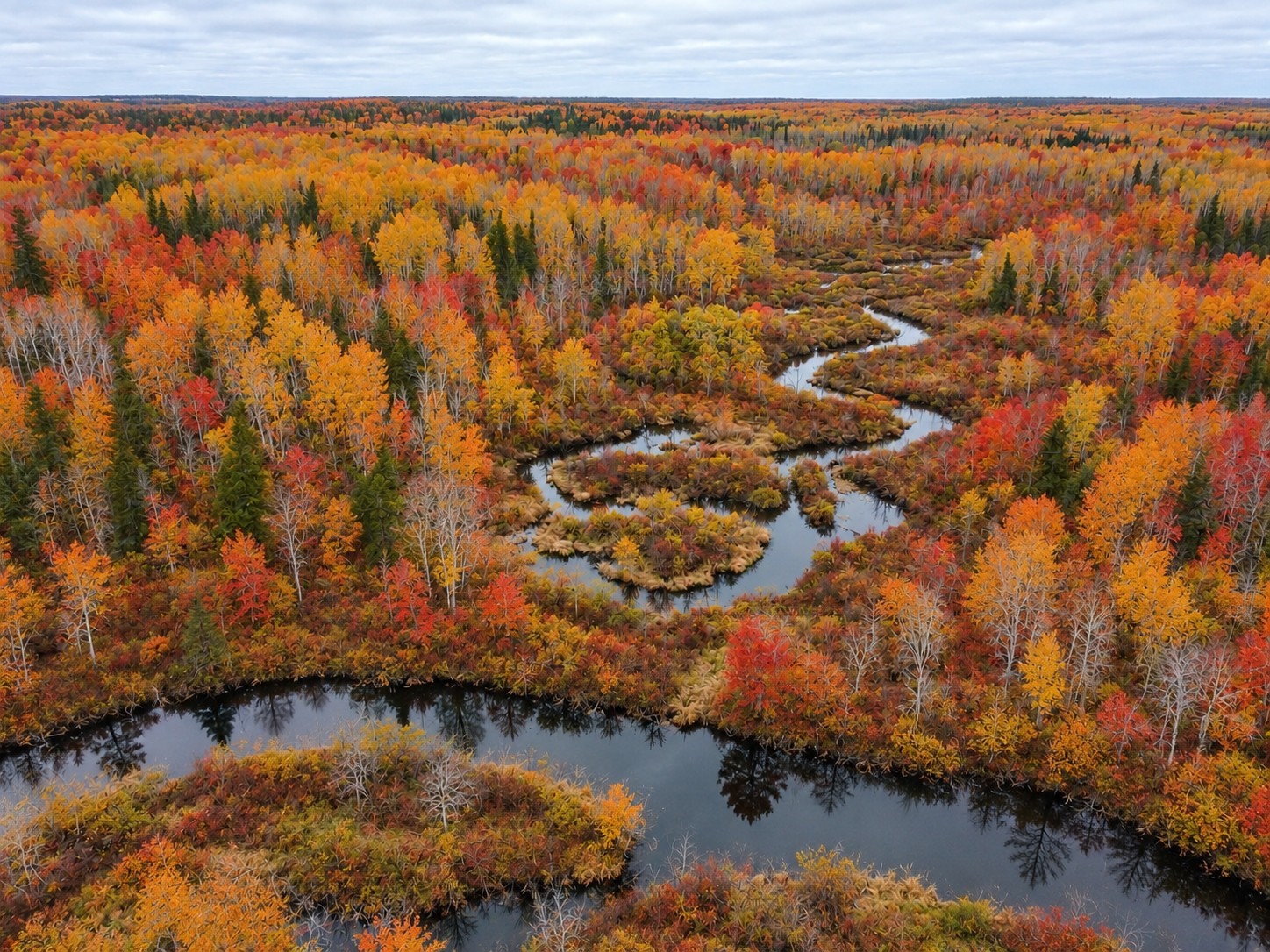 Tbd Swedish Highway Property Photo 13