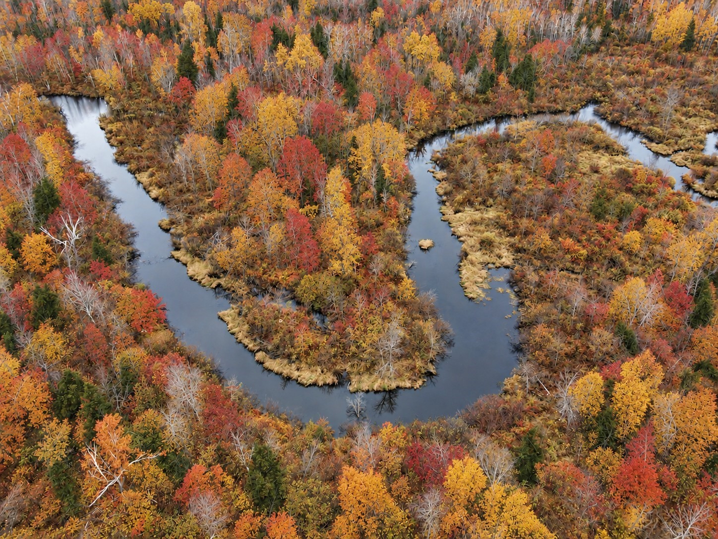 Tbd Swedish Highway Property Photo 14