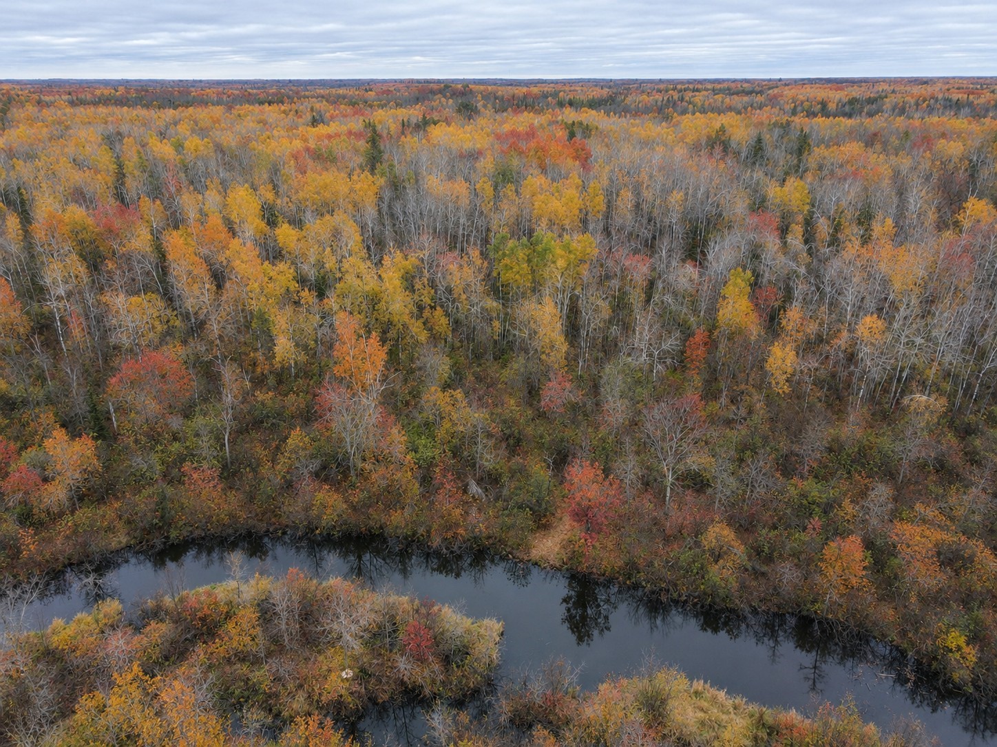 Tbd Swedish Highway Property Photo 15