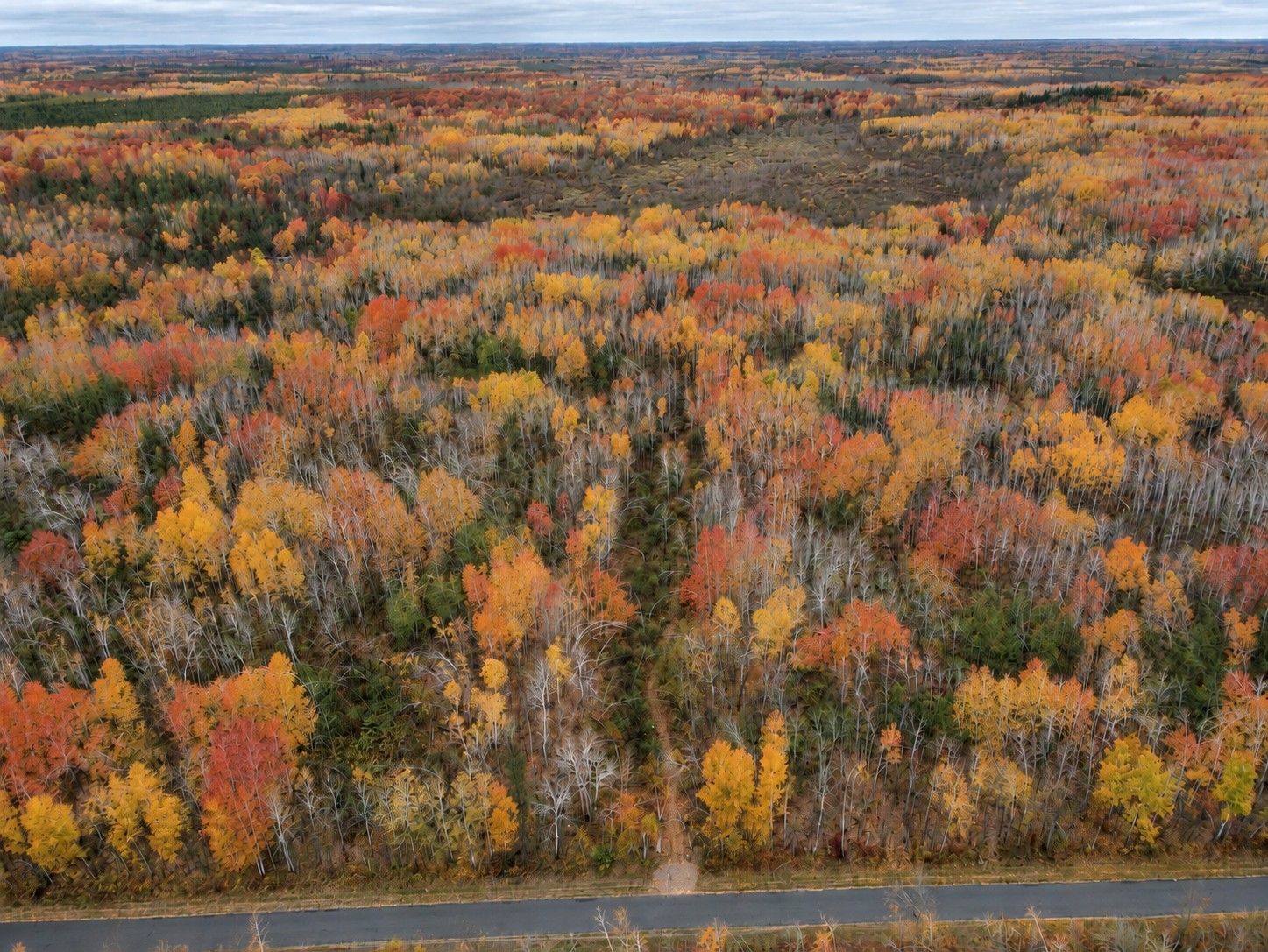 Tbd Swedish Highway Property Photo 16