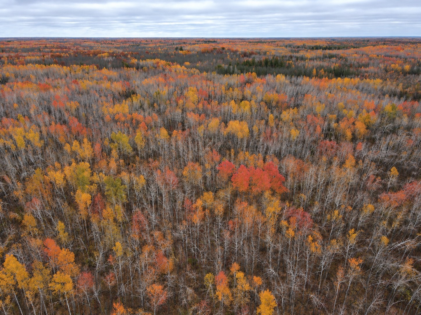 Tbd Swedish Highway Property Photo 17