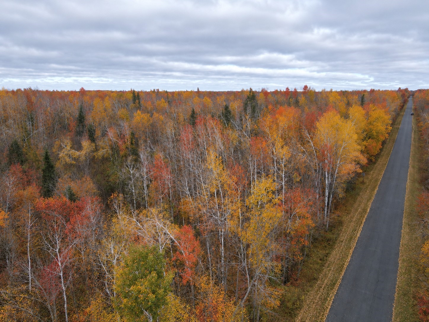 Tbd Swedish Highway Property Photo 18