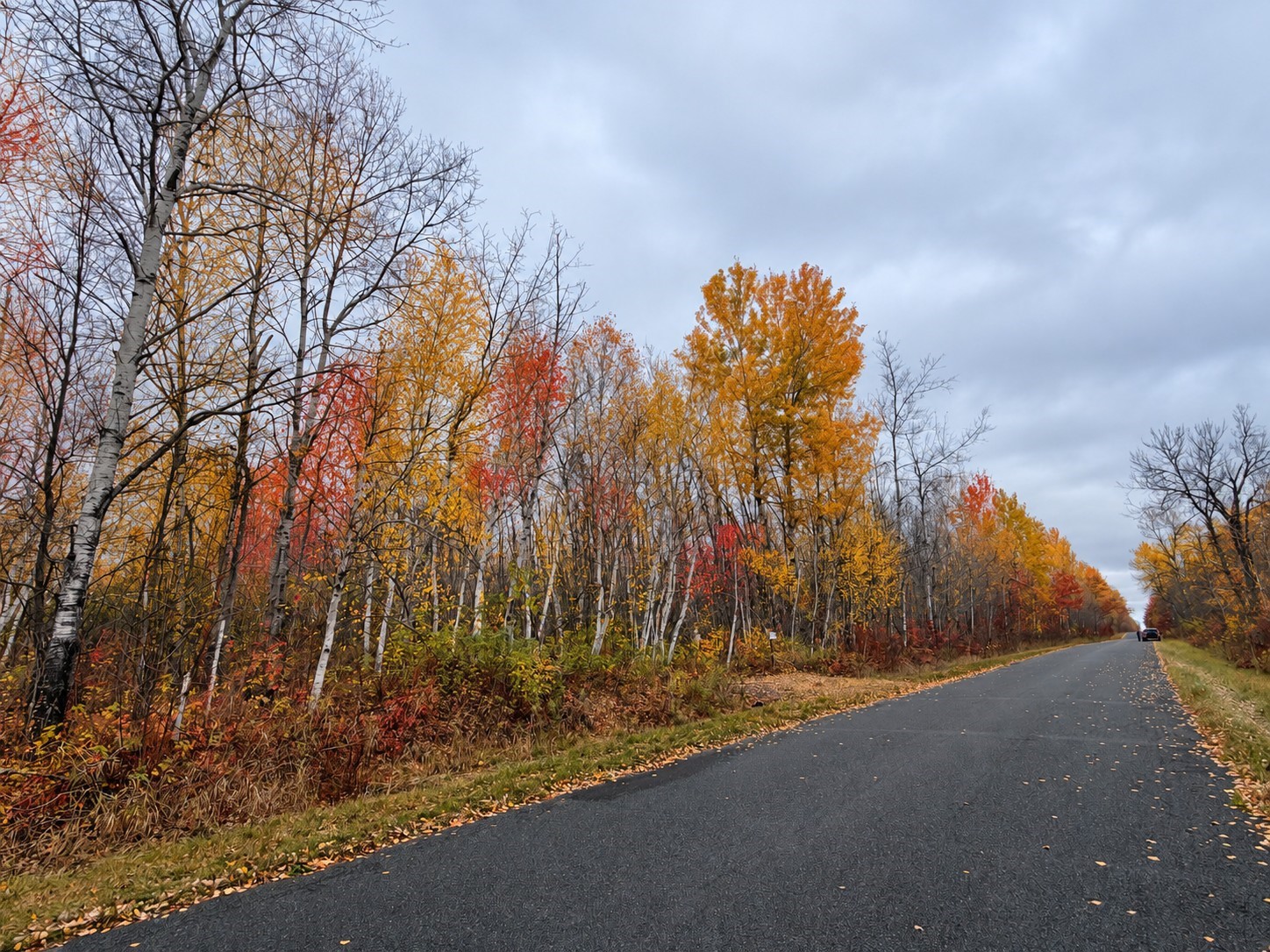 Tbd Swedish Highway Property Photo 19
