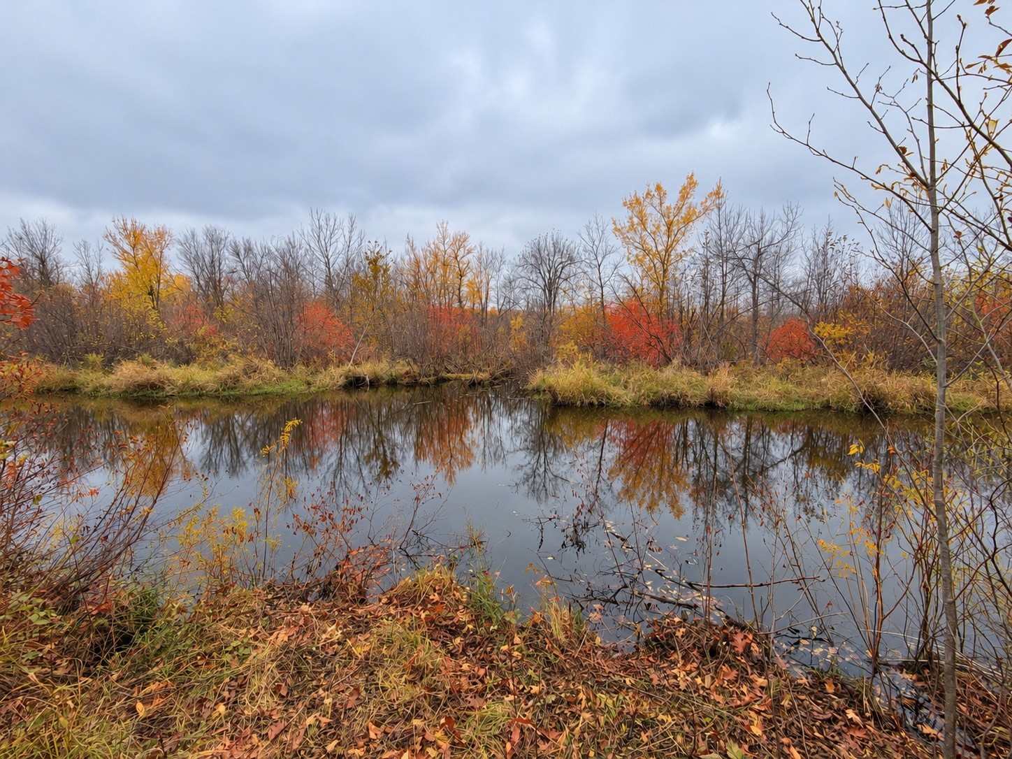 Tbd Swedish Highway Property Photo 20