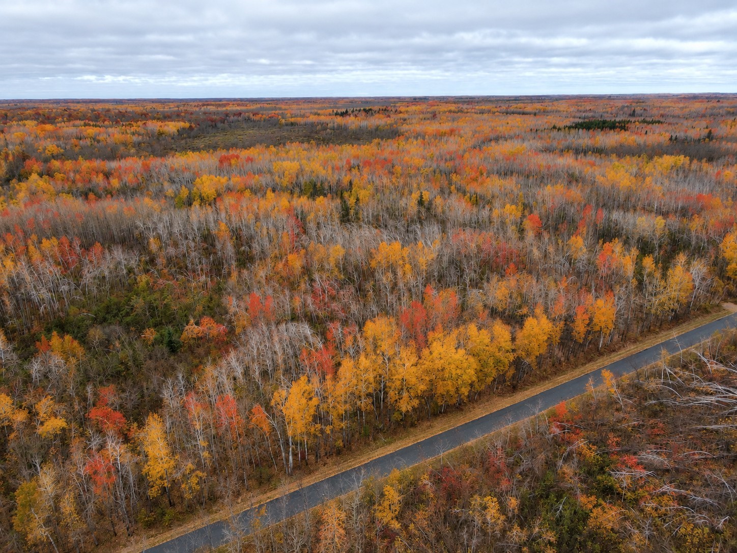 Tbd Swedish Highway Property Photo 25