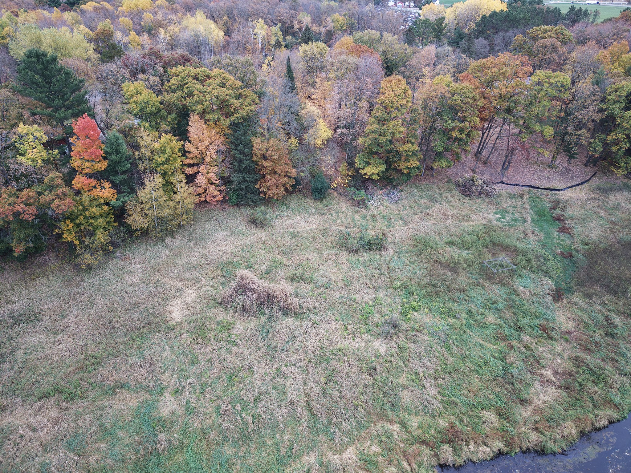 1345 100th Street Property Photo 4