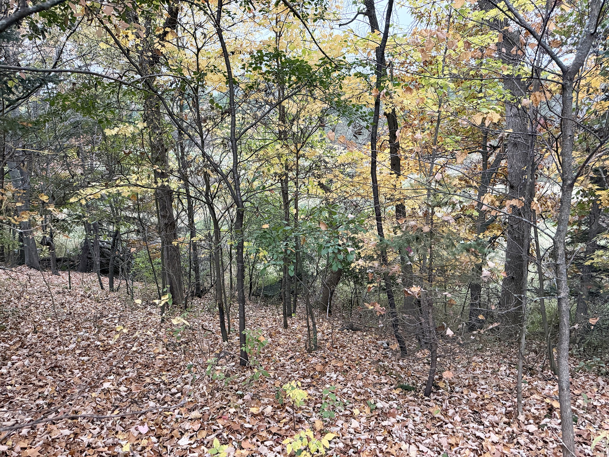 1345 100th Street Property Photo 5