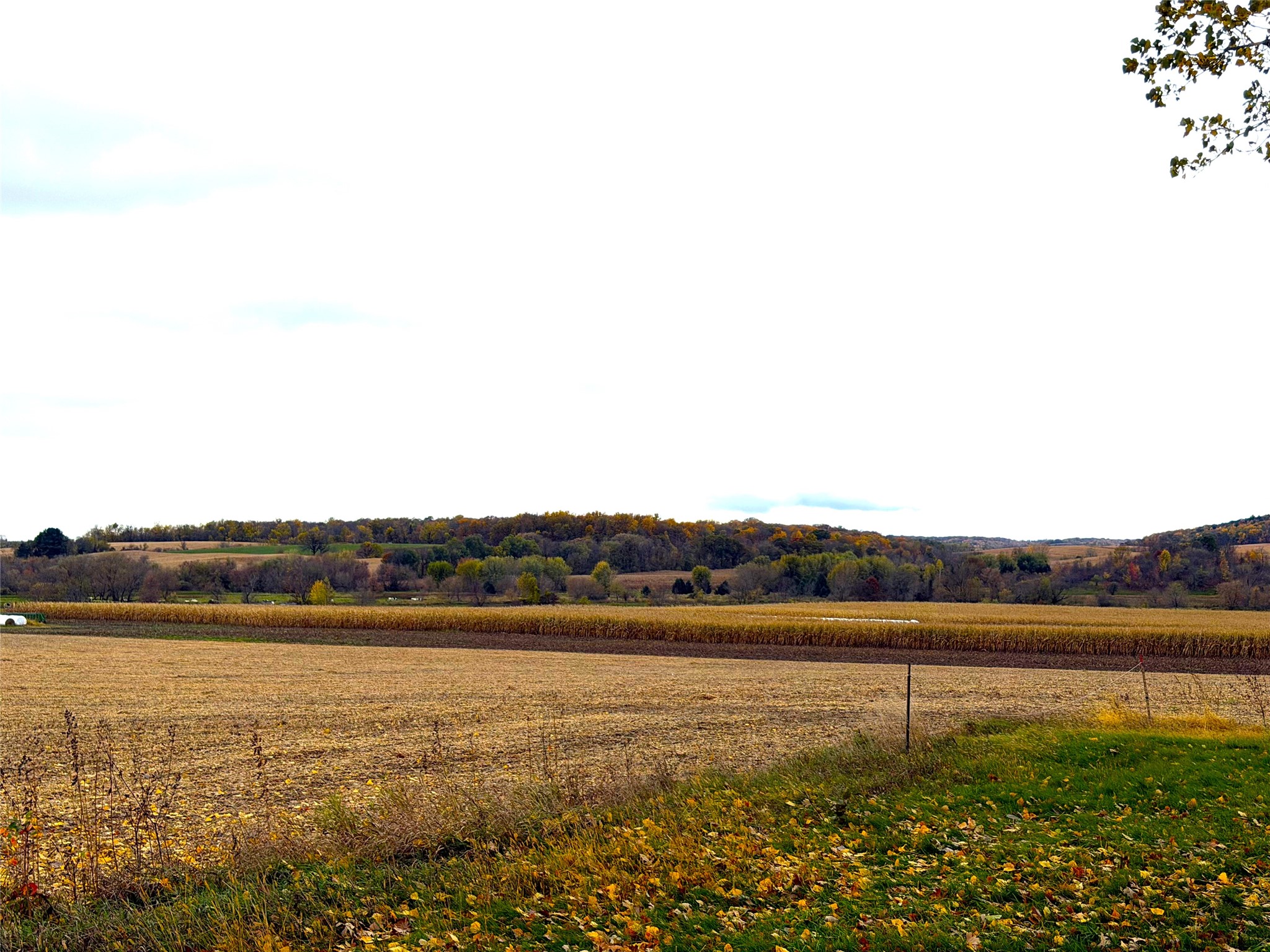 S12650 County Highway R Property Photo 18