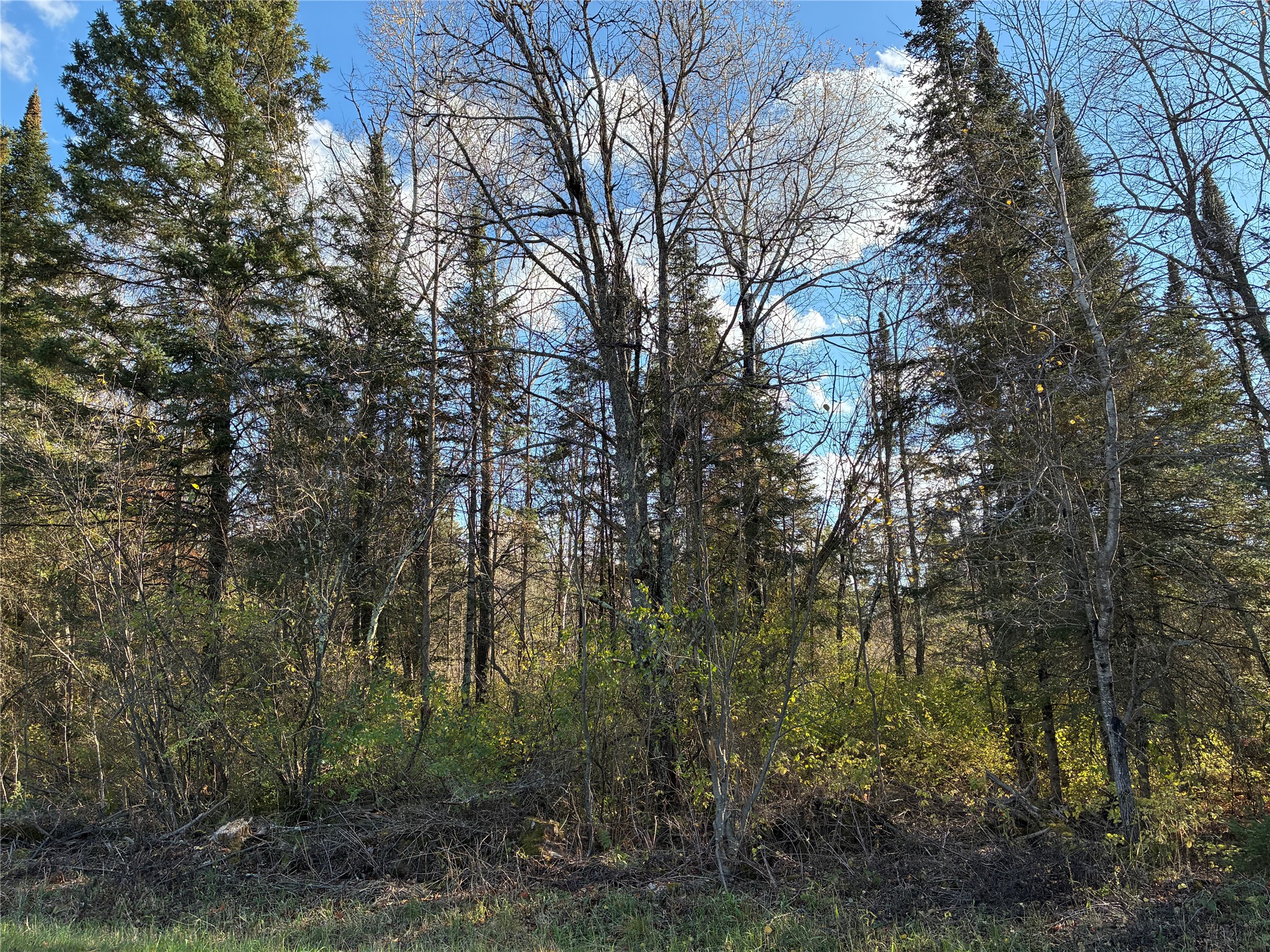 Lot 3 Fadness Road Property Photo 2