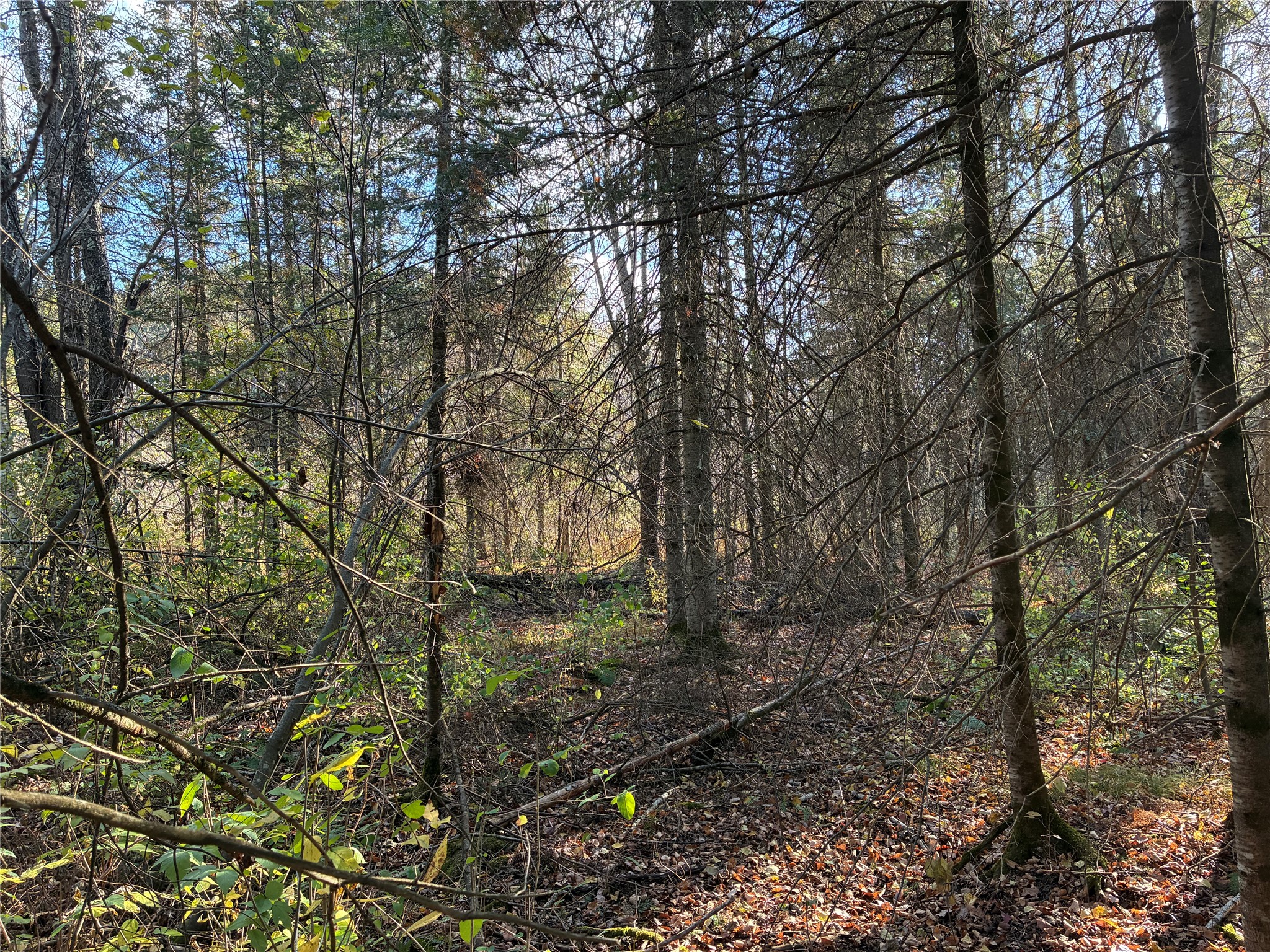 Lot 3 Fadness Road Property Photo 6