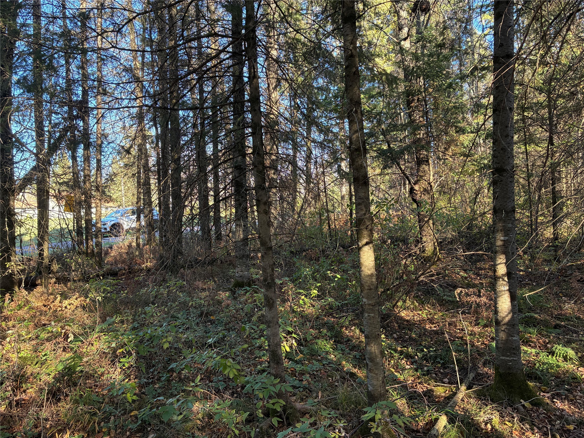 Lot 3 Fadness Road Property Photo 8