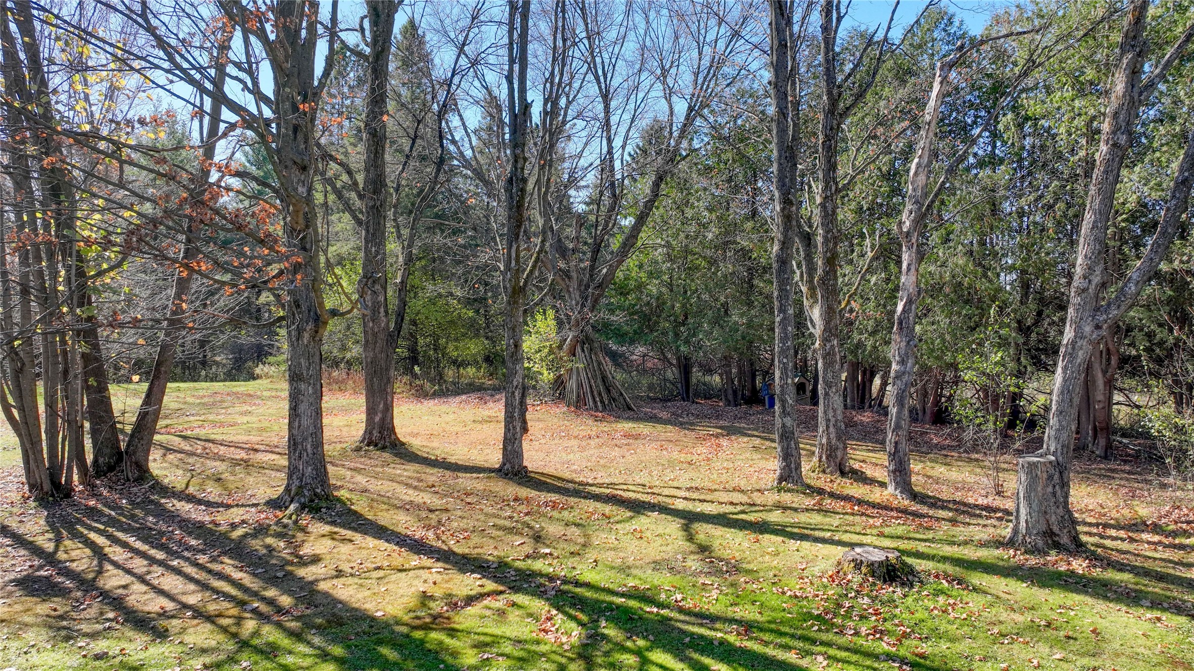 W7950 Us Highway 8 Property Photo 32