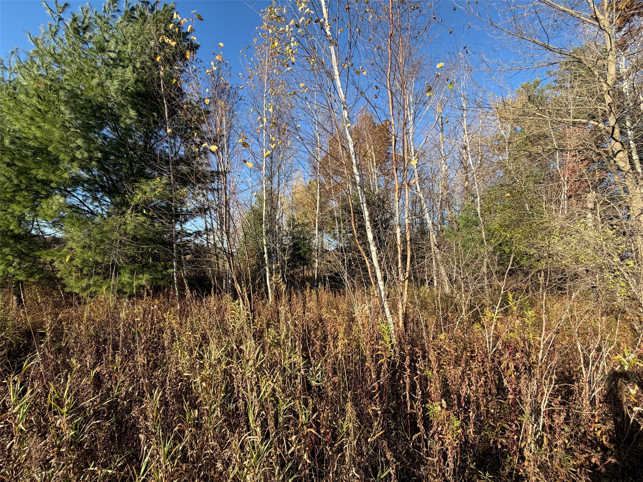 N1100 Block S. Right Of Way Road Property Photo 15