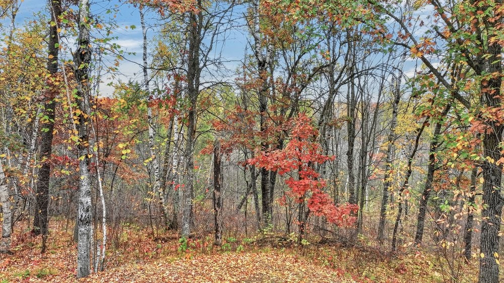 6008 W Shell Creek Road Property Photo 4