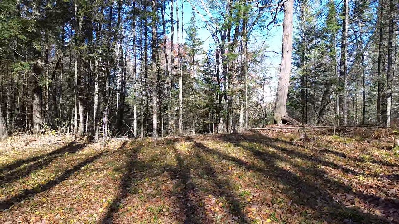 4800 43 Road Property Photo 6