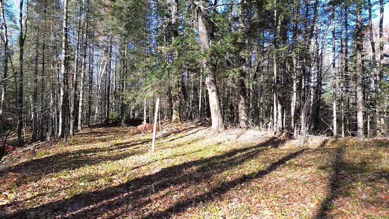 4800 43 Road Property Photo 7