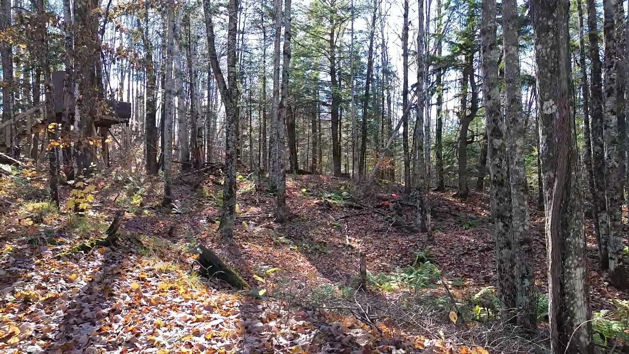 4800 43 Road Property Photo 8