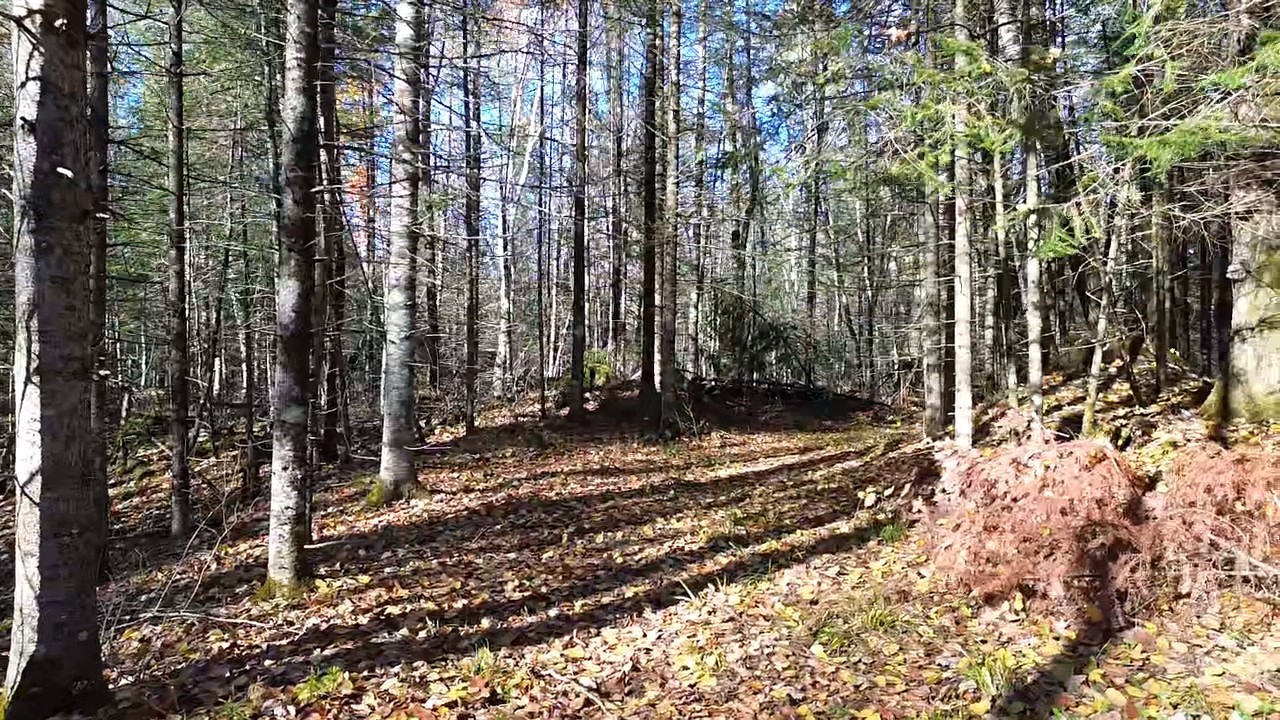 4800 43 Road Property Photo 9