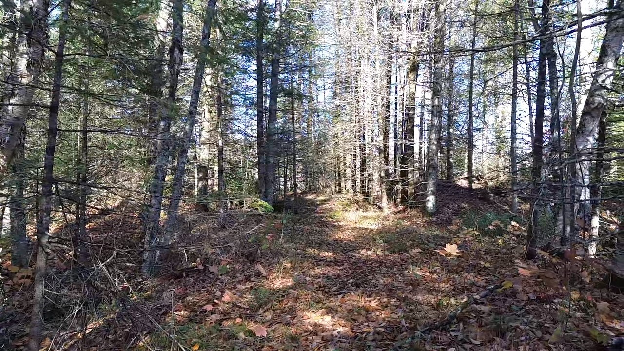 4800 43 Road Property Photo 12