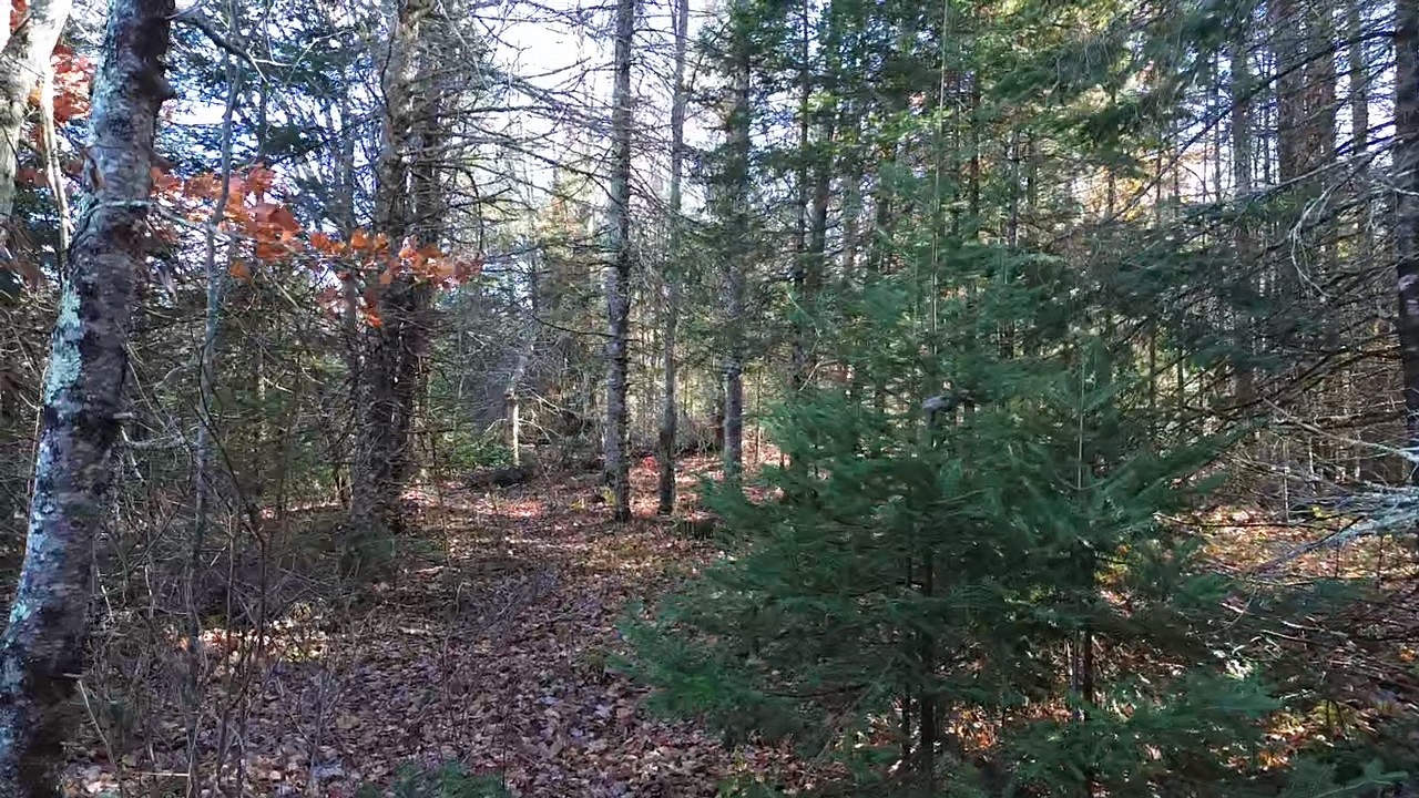4800 43 Road Property Photo 16