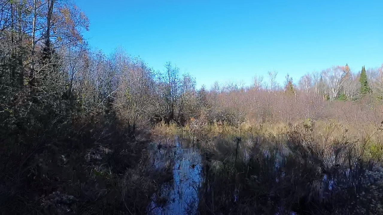 4800 43 Road Property Photo 19