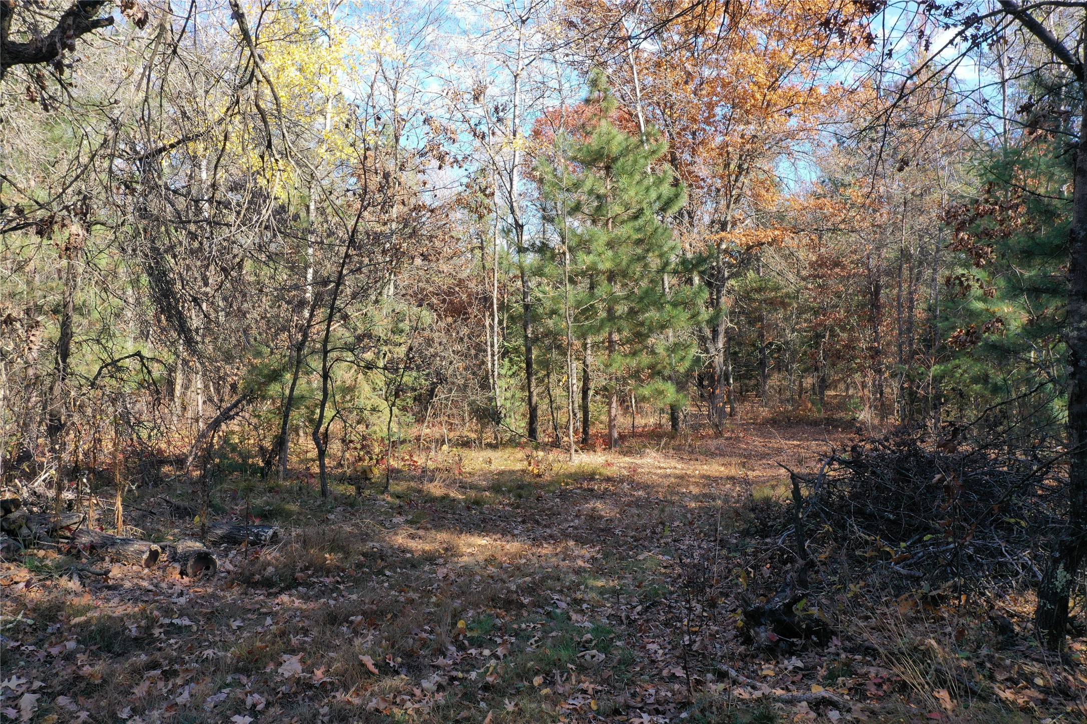 Xxx Bloom Road Property Photo 5
