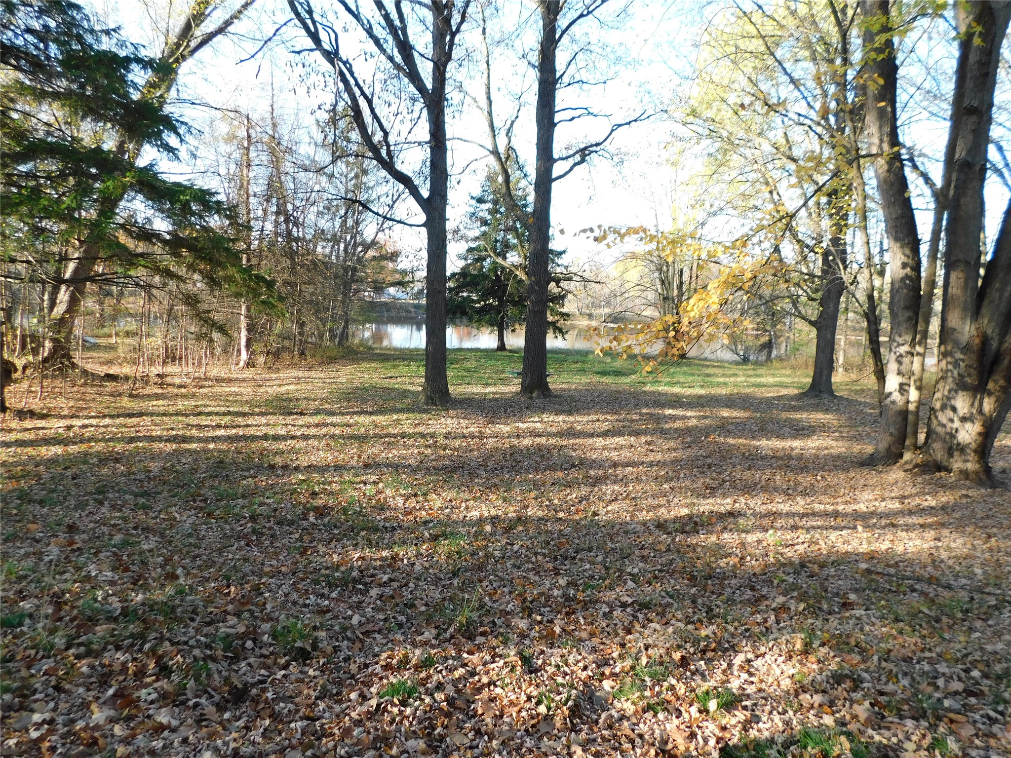 N341 Ranch Road Property Photo 18